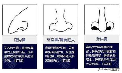 鼻子面相学|相面绝学——论鼻，直断。鼻子尖尖，克夫薄情，鹰鼻，主阴险。。